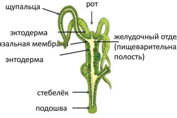 Кракен даркнет маркет зеркала