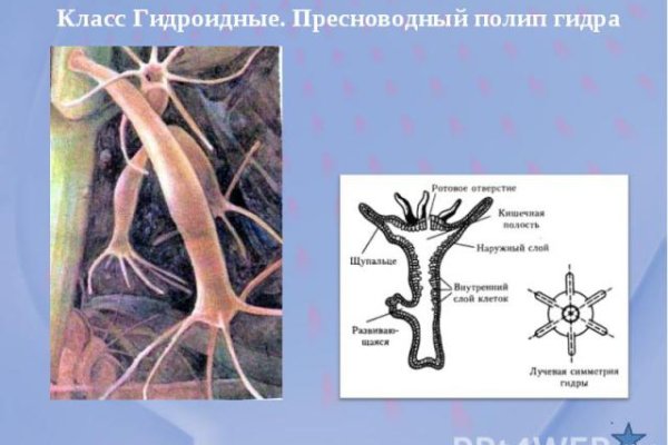 Кракен зайти зеркало